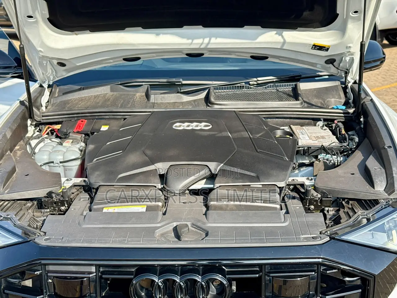 Audi Q8 55 Premium AWD quattro 2020 White