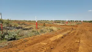 Residential Plots in Nachu
