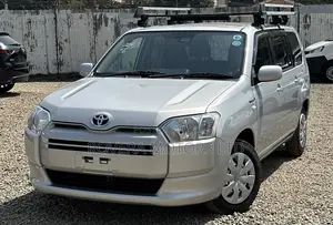 Toyota Probox 2020 Silver