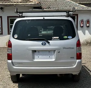 Toyota Probox 2020 Silver