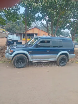 Mitsubishi Pajero 1999 Blue