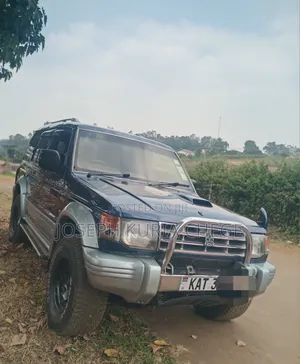 Mitsubishi Pajero 1999 Blue