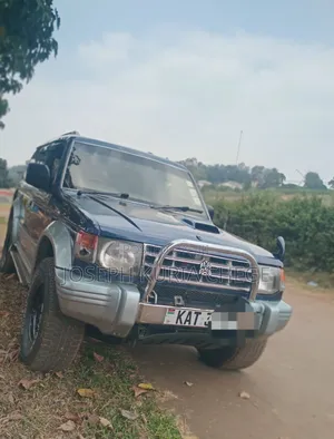 Mitsubishi Pajero 1999 Blue