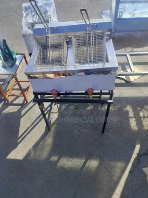 Stainless Steel Gas Fryer