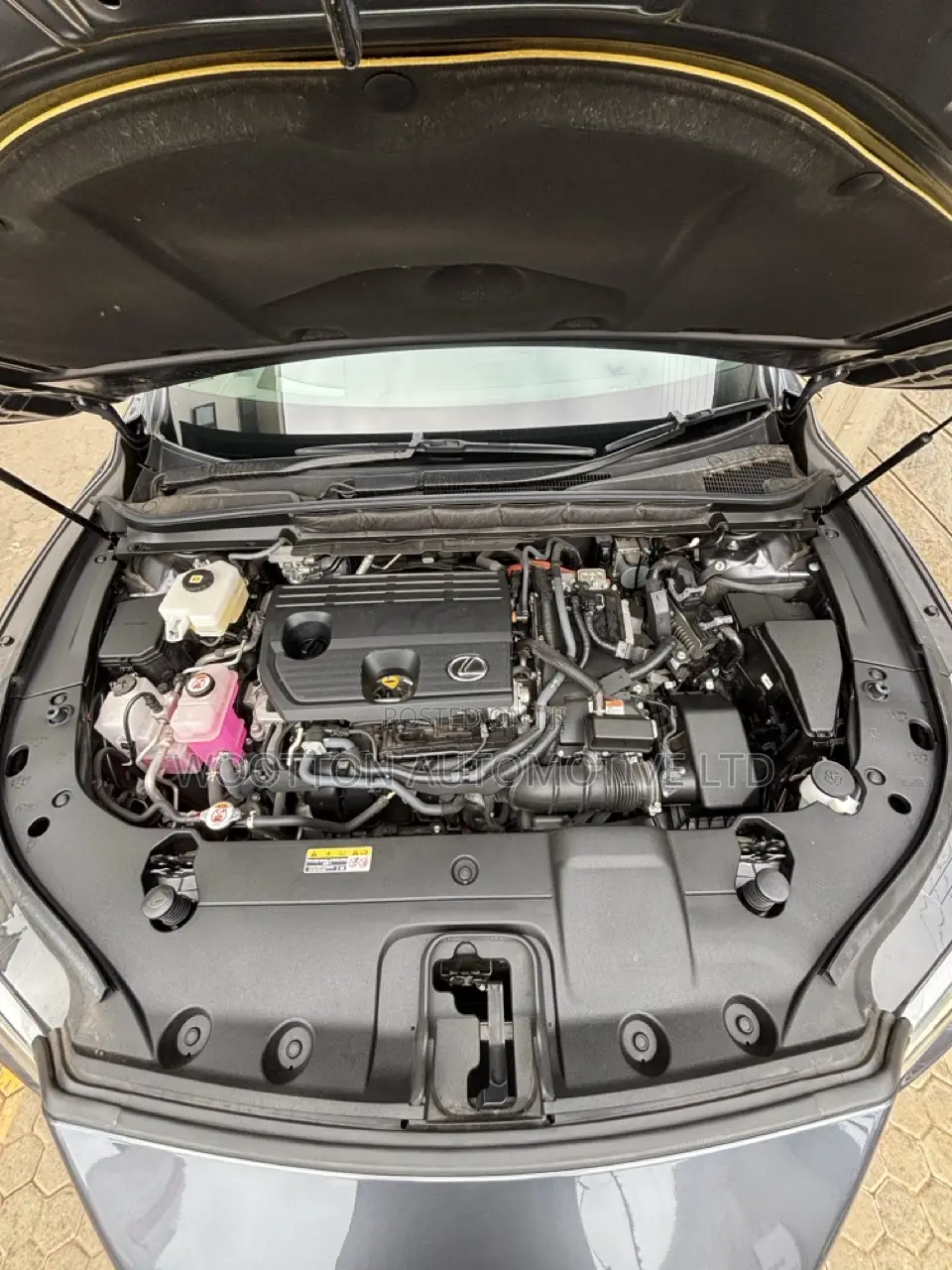 Lexus RX 350 2023 Gray