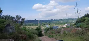Plots in Thigio, Kikuyu