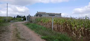 Residential Plots in Thigio, Kikuyu