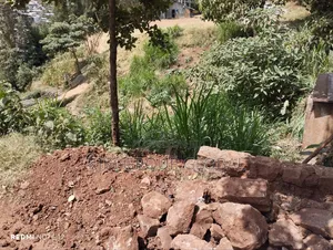 Gabion Supply and Installation