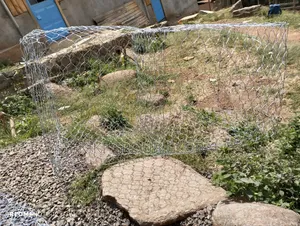 Gabion Supply and Installation