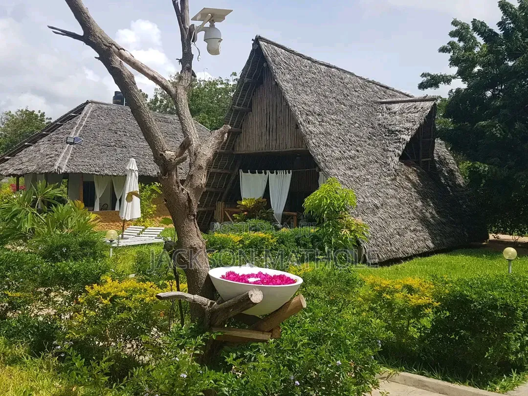 Makuti for Sale