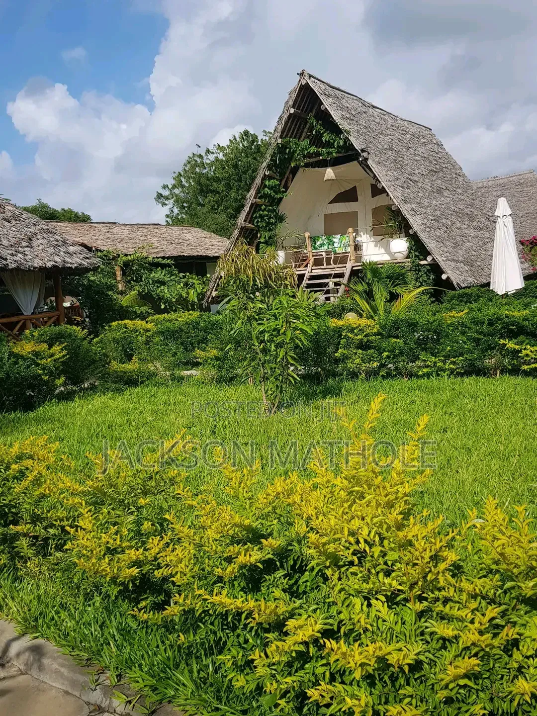Makuti for Sale