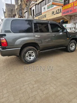 Toyota Land Cruiser 2004 Gray