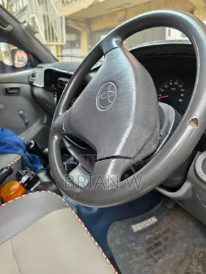 Toyota Land Cruiser 2004 Gray