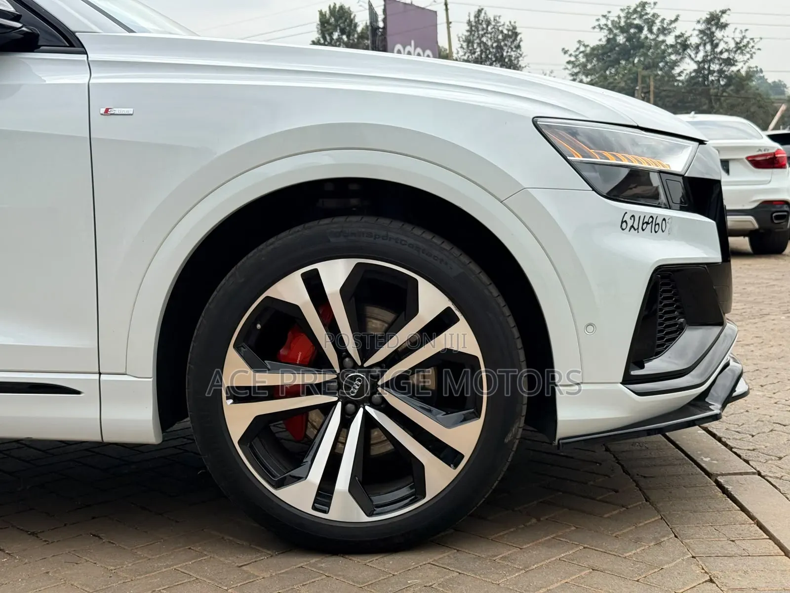 Audi Q8 3.0T Premium AWD quattro 2019 White
