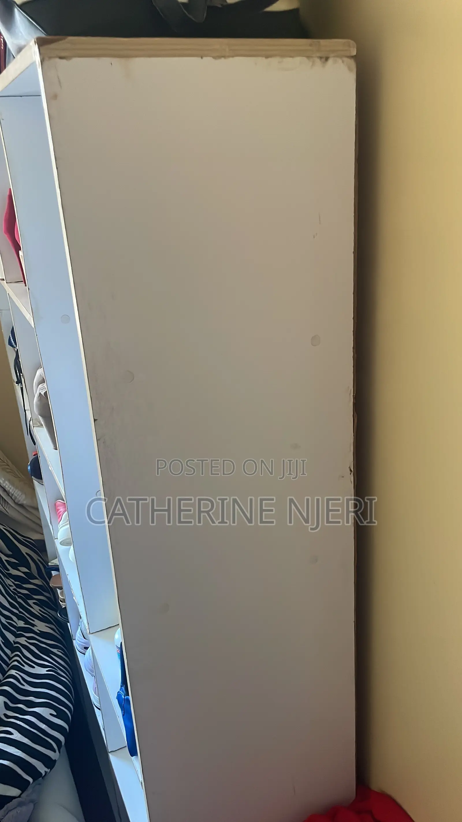 White Elegant Shoerack