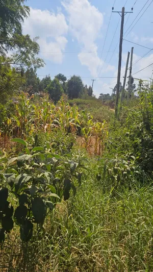 Plots in Kamangu, Kikuyu
