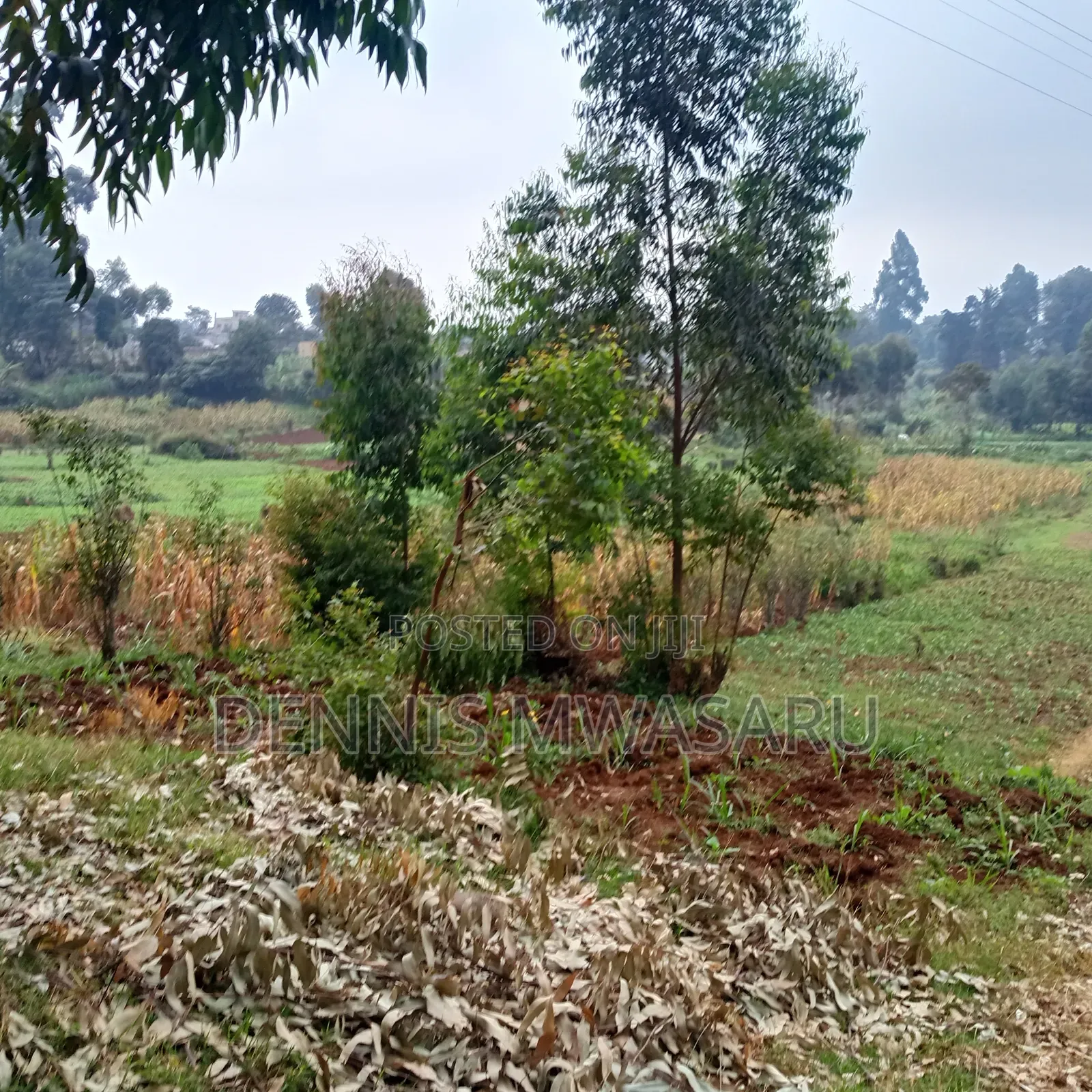 Land for Sale in Muguga Ward Kiambu