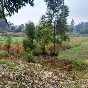 Land for Sale in Muguga Ward Kiambu