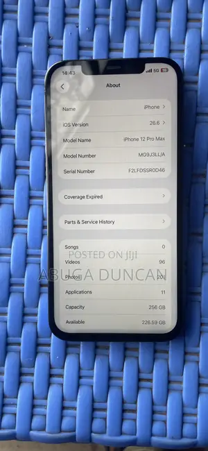 Apple iPhone 12 Pro Max 256 GB Gray