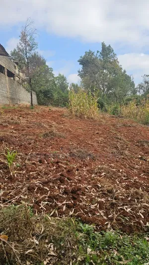 Plots in Lower Kabete