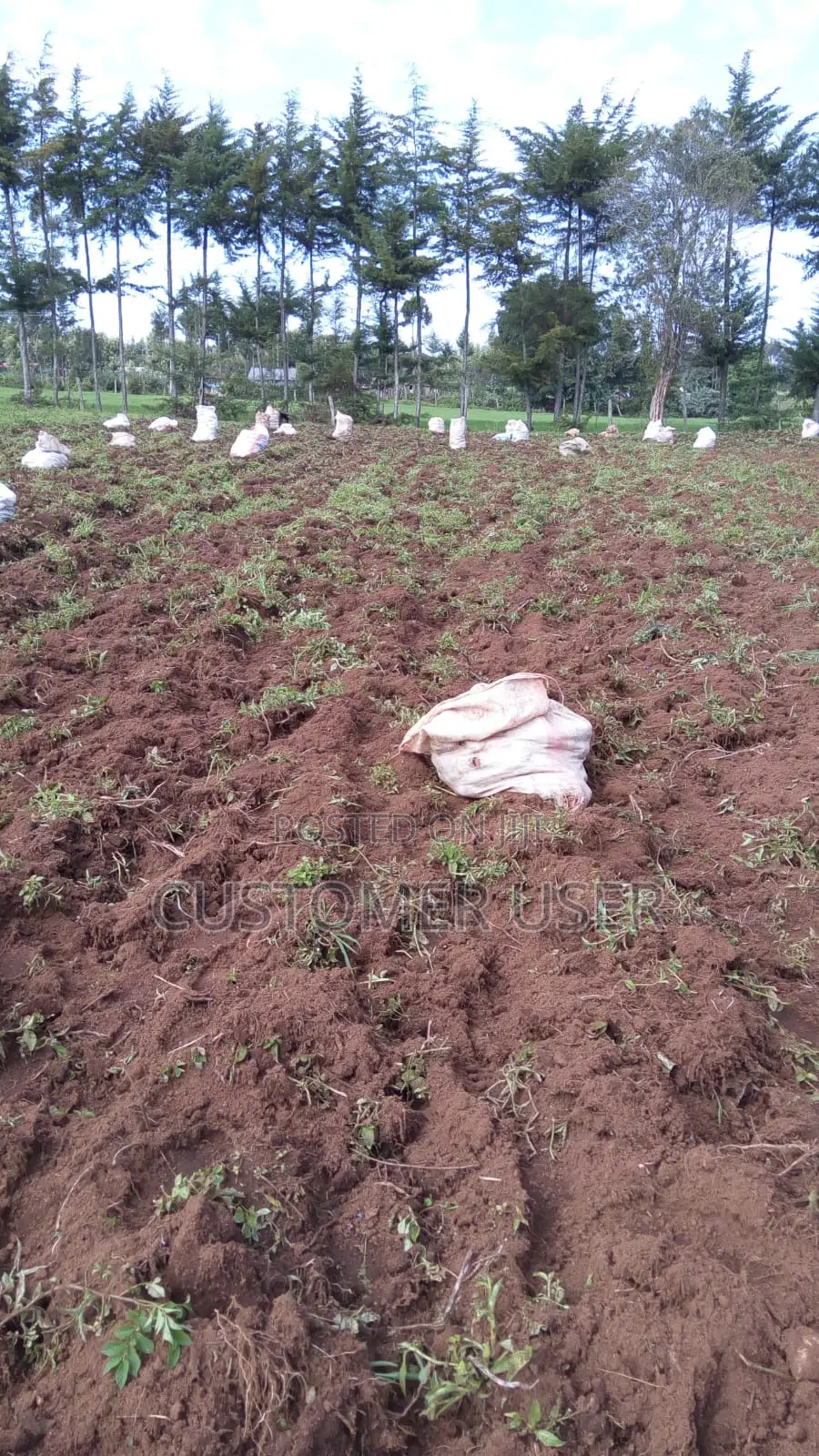 5 Acres Land Touching River in Oljororok 2m/Acre