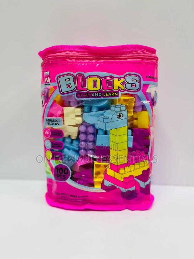 100pcs Play and Learn Blocks