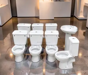 Heavy Duty Ceramic Toilet Suite With Efficient Dual Flush System