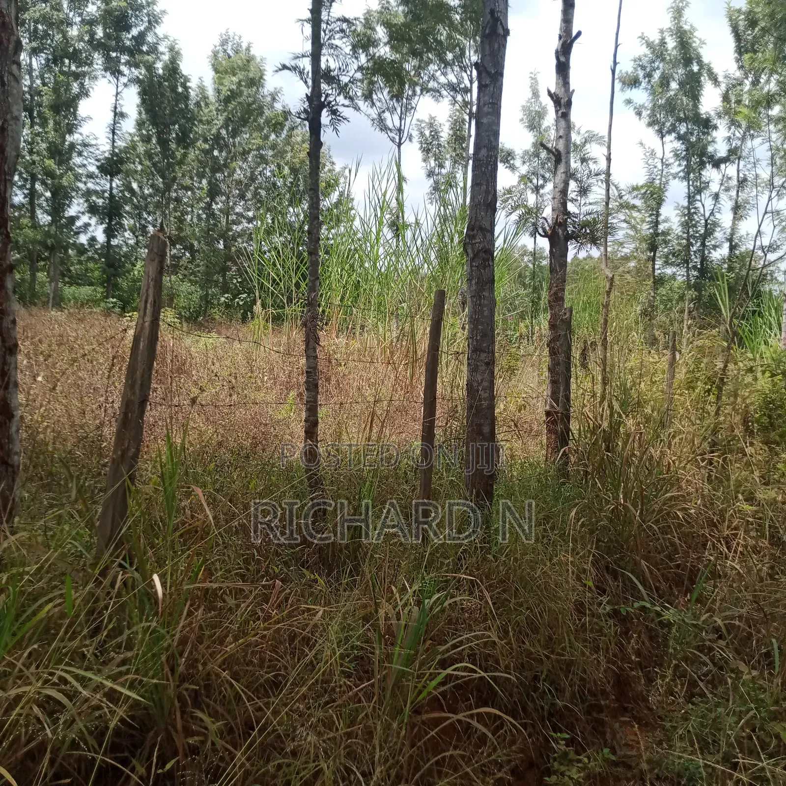 Prime 100x100 Plot for Sale at Muthatari Embu