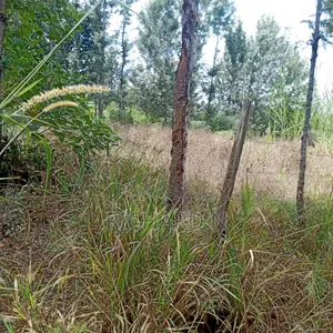 Prime 100x100 Plot for Sale at Muthatari Embu