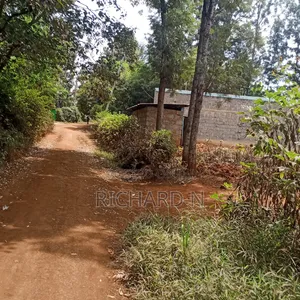 Prime 100x100 Plot for Sale at Muthatari Embu