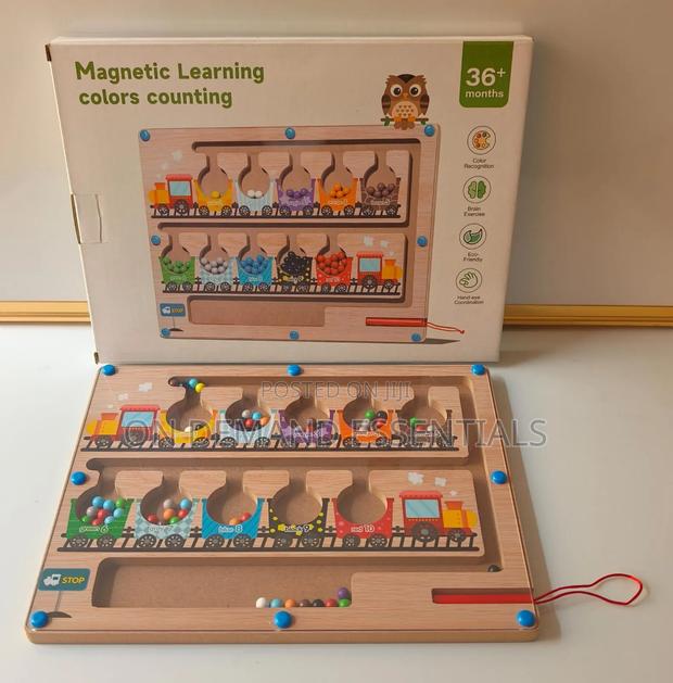 Magnetic Learning Maze - main view