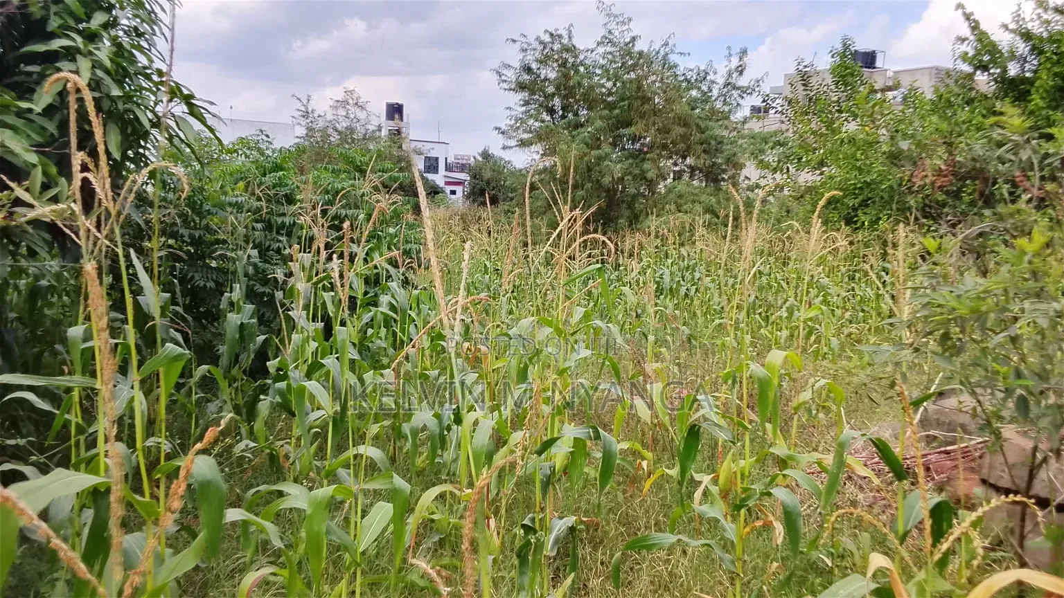 1acre Land Kasarani Behind St Francis Distress Sale