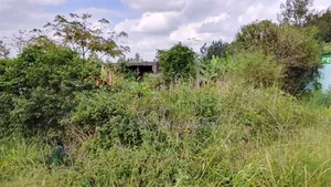 1acre Land Kasarani Behind St Francis Distress Sale