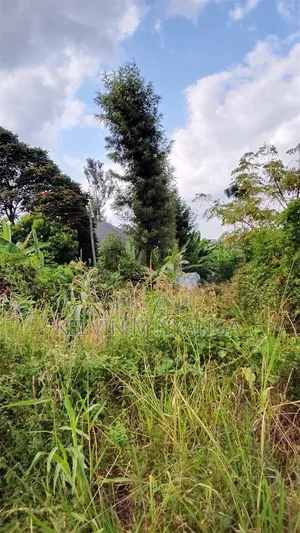 1acre Land Kasarani Behind St Francis Distress Sale