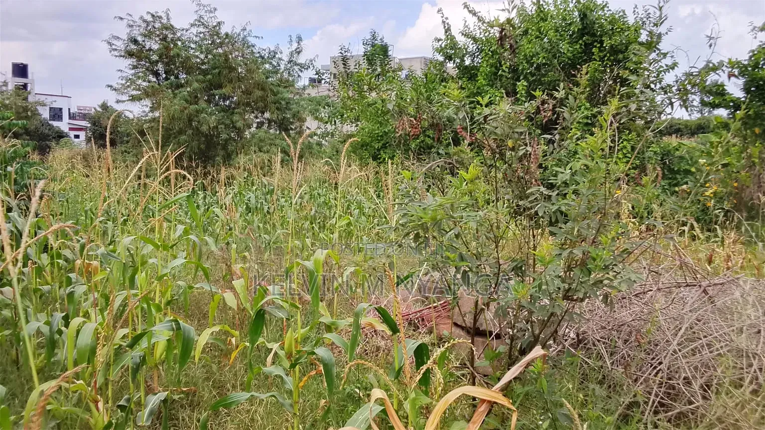 1acre Land Kasarani Behind St Francis Distress Sale