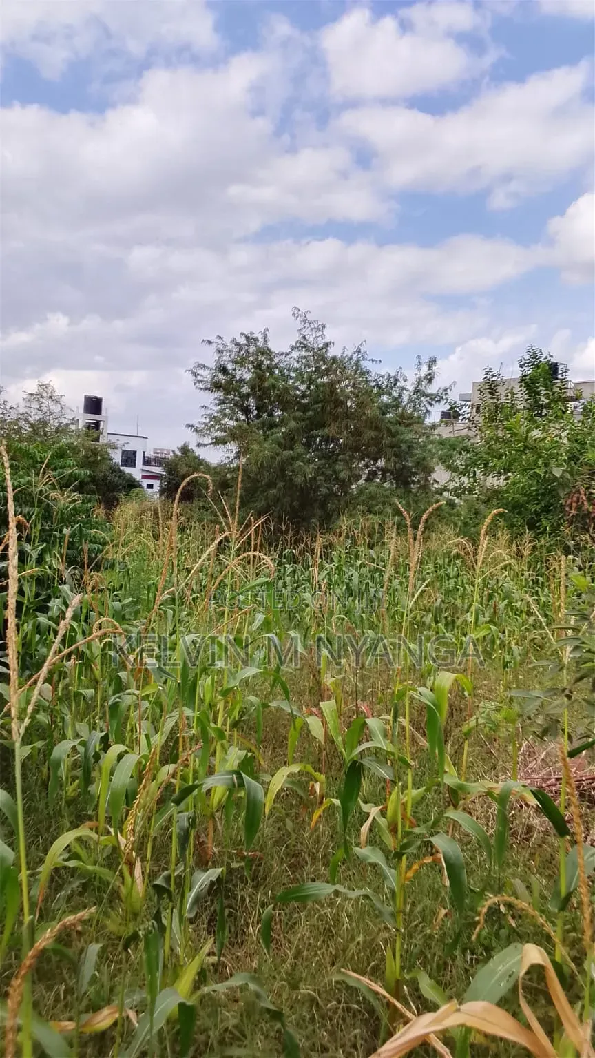 1acre Land Kasarani Behind St Francis Distress Sale