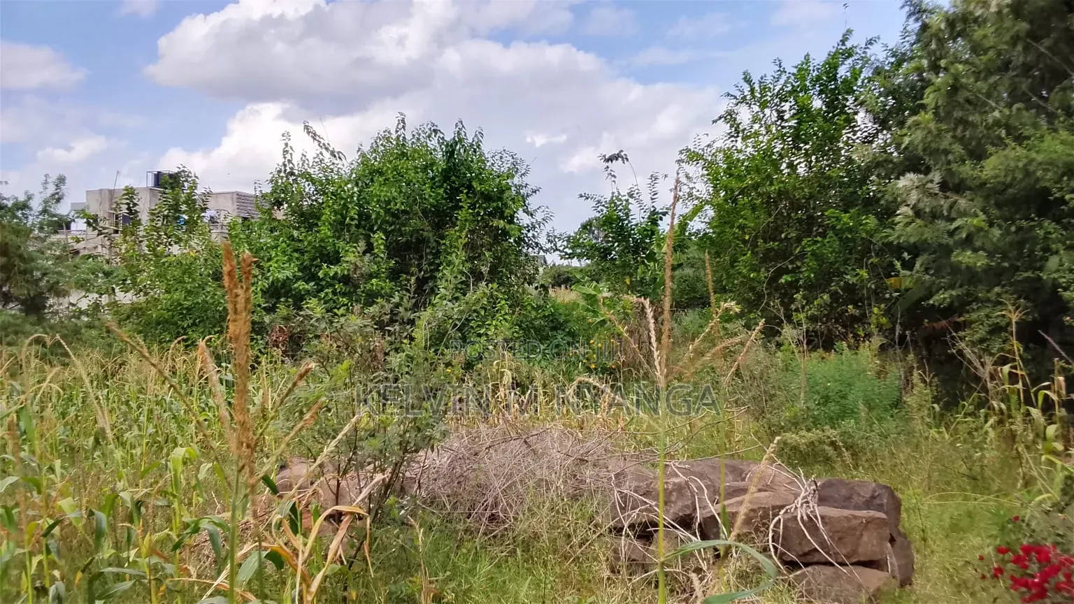 1acre Land Kasarani Behind St Francis Distress Sale