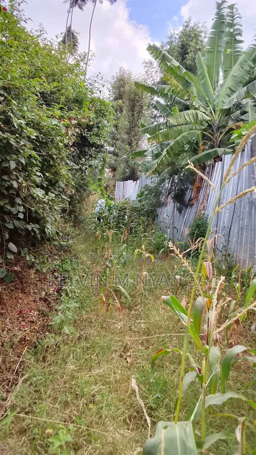 1acre Land Kasarani Behind St Francis Distress Sale