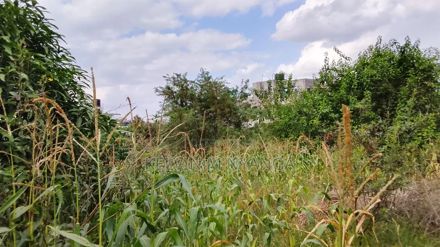 1acre Land Kasarani Behind St Francis Distress Sale
