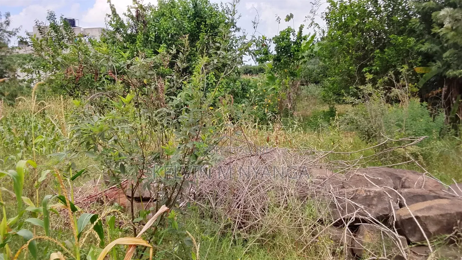 1acre Land Kasarani Behind St Francis Distress Sale