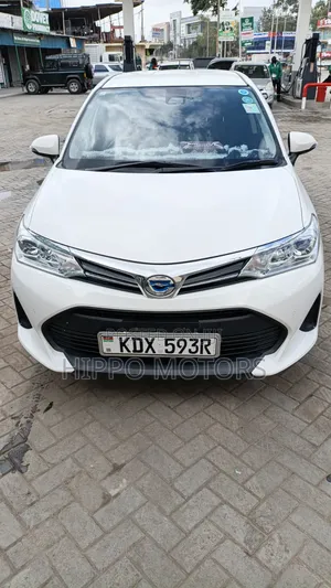 Toyota Corolla Fielder 2019 White