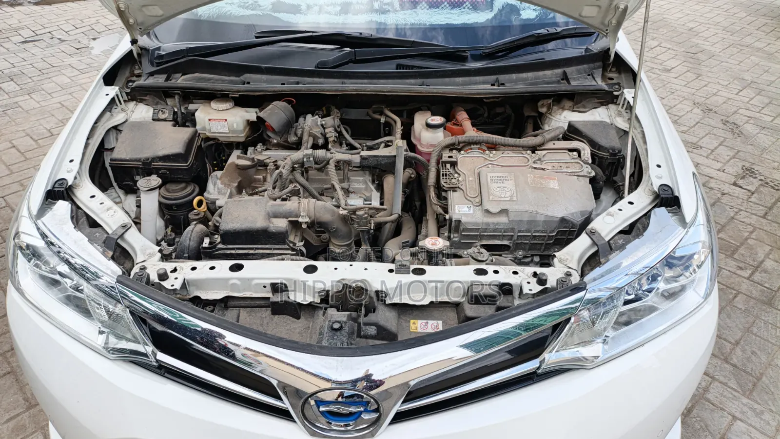 Toyota Corolla Fielder 2019 White