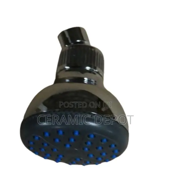 Shower Rose 1001h-02