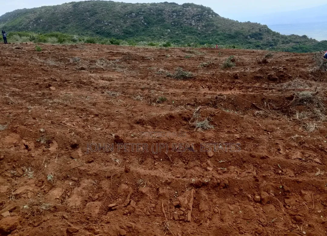 Plots in Kamangu, Kiriri Primary