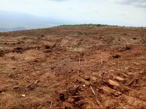 Plots in Kamangu, Kiriri Primary