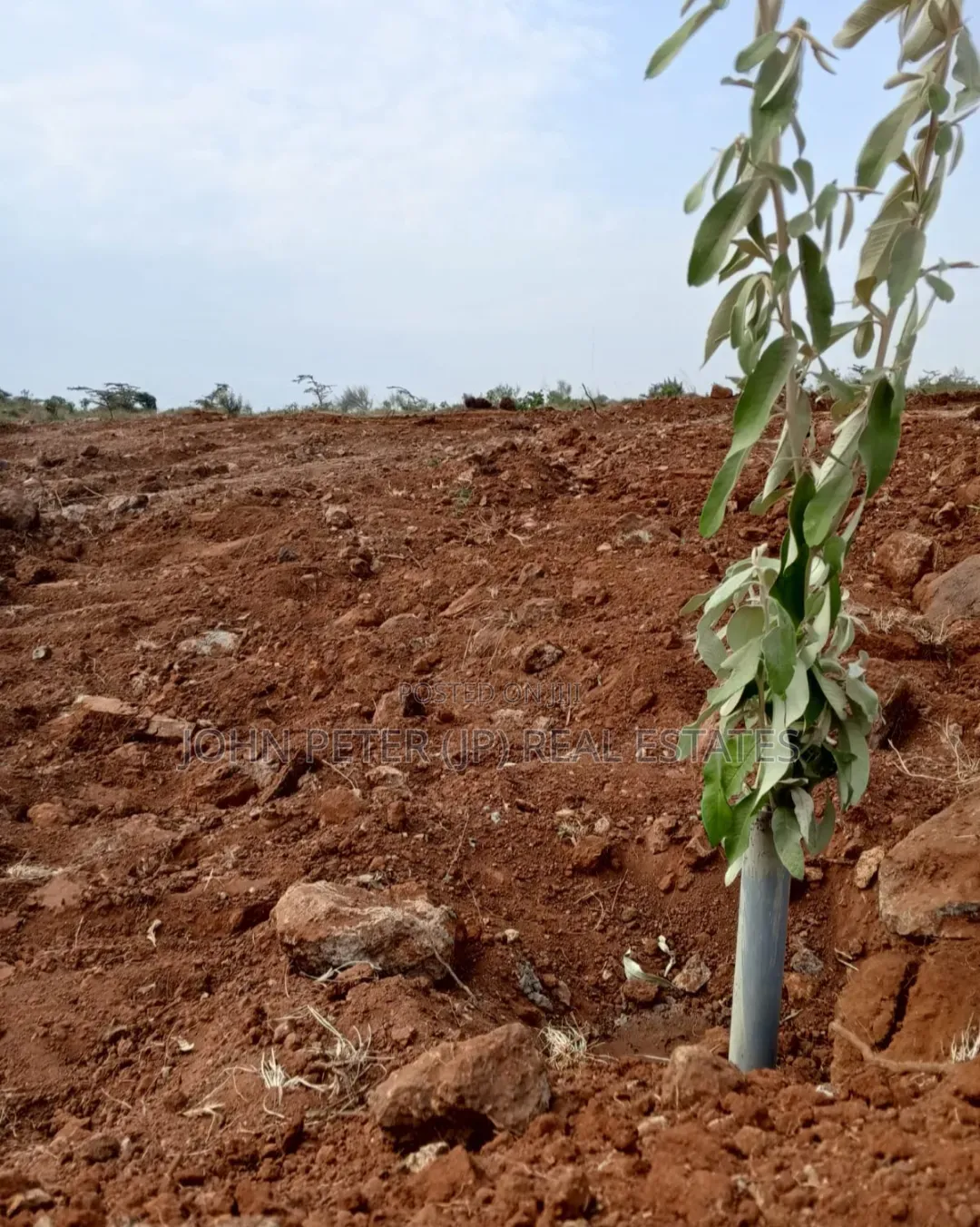 Plots in Kamangu, Kiriri Primary
