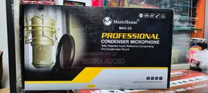 Condenser Microphone Kit With Shockmount Pop Filter