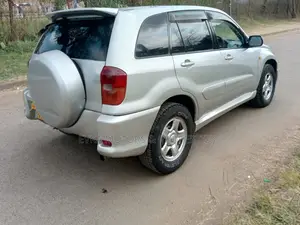 Toyota RAV4 2001 Silver