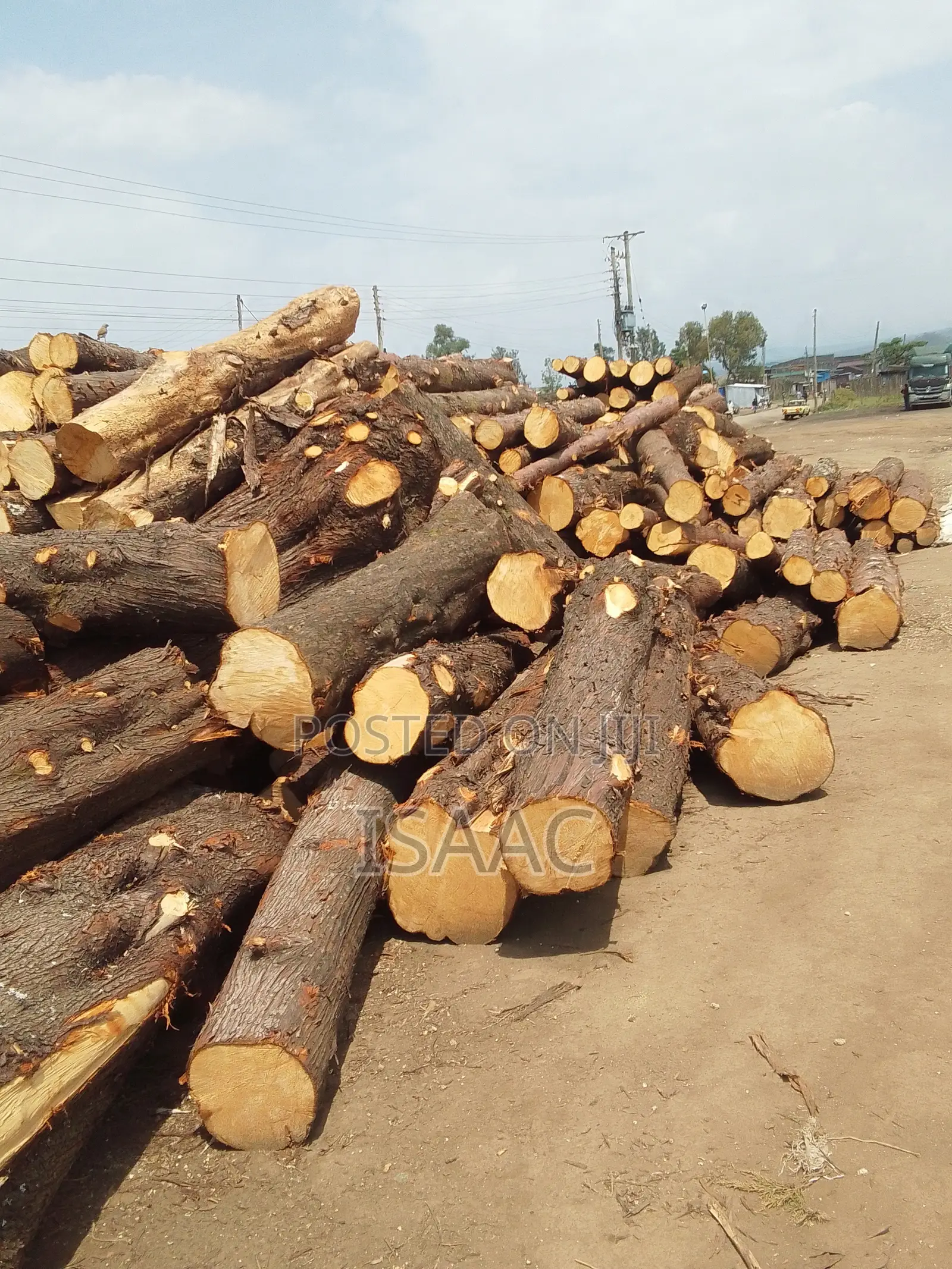 Timber.Cypress