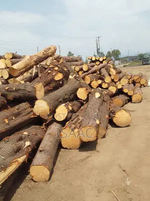 Timber.Cypress